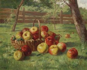 Apple Harvest