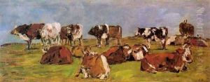 Cows in a Field Cows in a Field