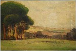 Paisaje by Bernardo Villamil Marraci