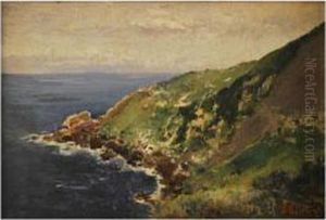 Vistacostera by Bernardo Villamil Marraci