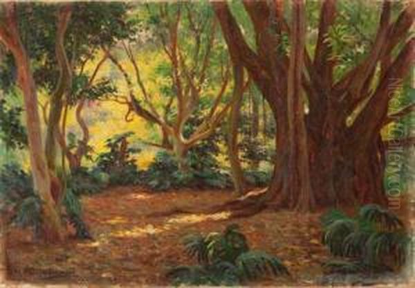 Paisaje Boscoso - view 1