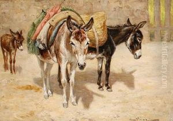 Donkeys - view 1
