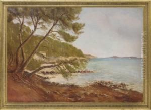 A View Along The Coast, Port Jackson, New South Wales