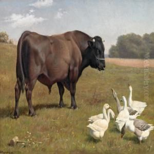 Grazing Geese And A Chained Bull On A Summer Meadow by Einar Vindfeldt