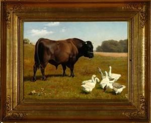 A Flock Of Geese Cackle Near A Bull by Einar Vindfeldt