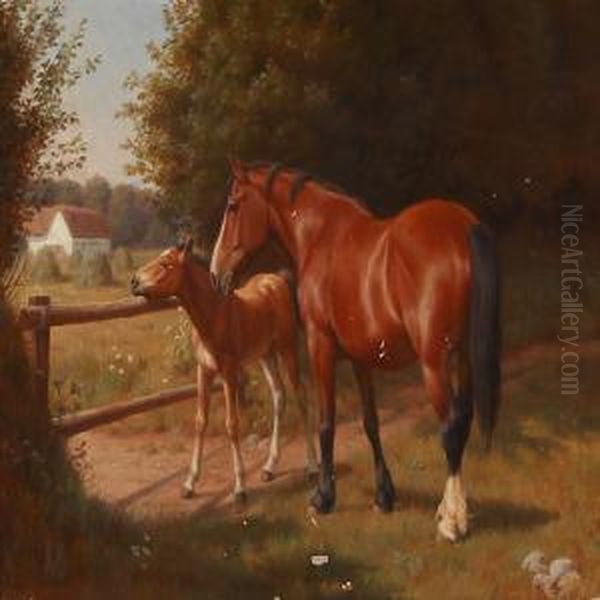 A Mare With Her Foal In The Sun - view 1