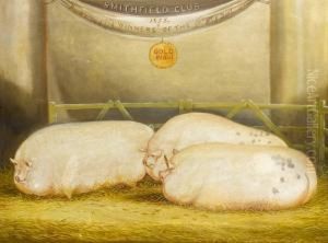 Three Prize Winning Pigs by John Vine Of Colchester