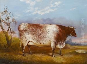 A Short-horned Cow In A Landscape by John Vine Of Colchester