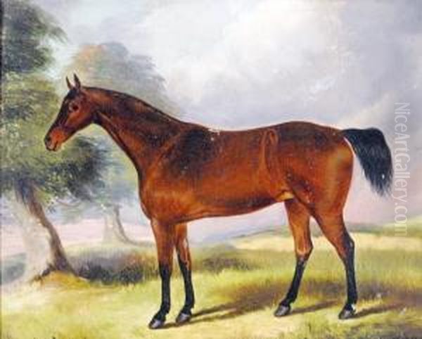 Portrait Of A Bay Mare, Jinny, By Wynot, Foaled In 1842 - view 1