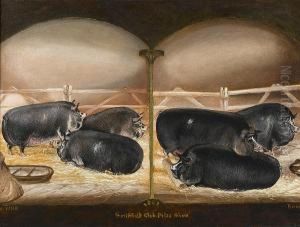 Six Prize Berkshire Pigs