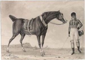 A Horse And His Creole Jockey by Reinier Vinkeles