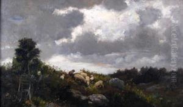 Sheep On A Hillside - view 1