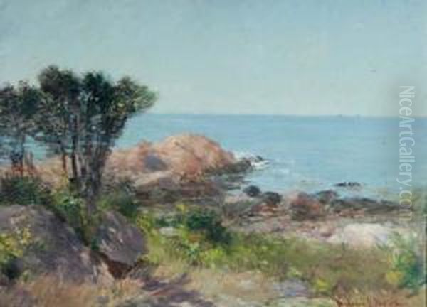 Coastal Scene - view 1