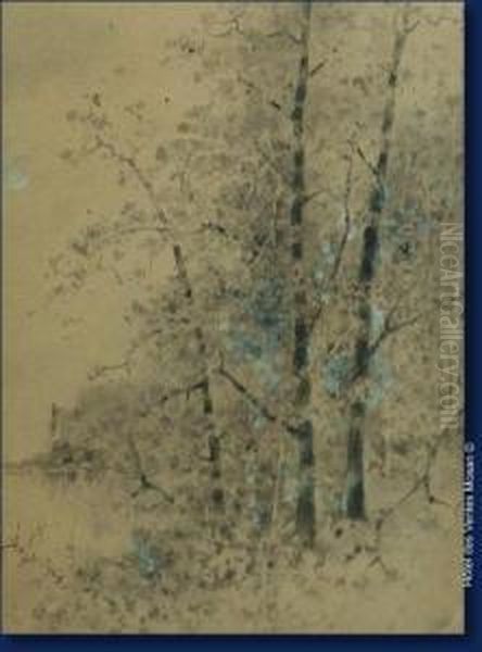 Sous-bois - view 1