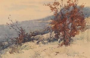 Untitled - Sheep Grazing On A Hillside