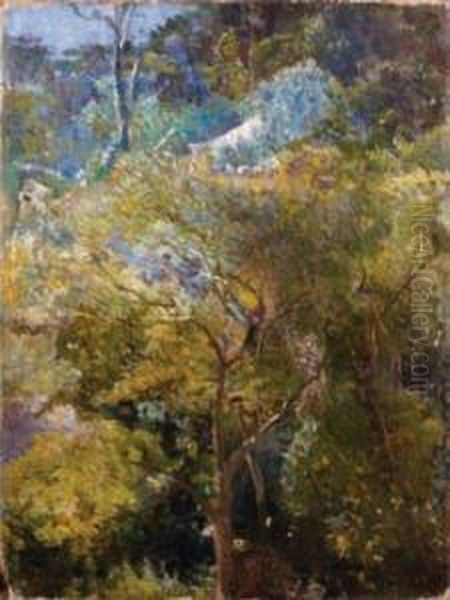 Le Jardin Tropical - view 1