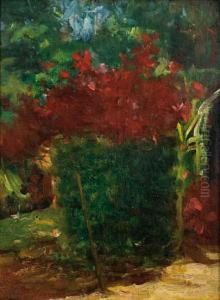 Meu Jardim Teresopolis by Eliseo Visconti