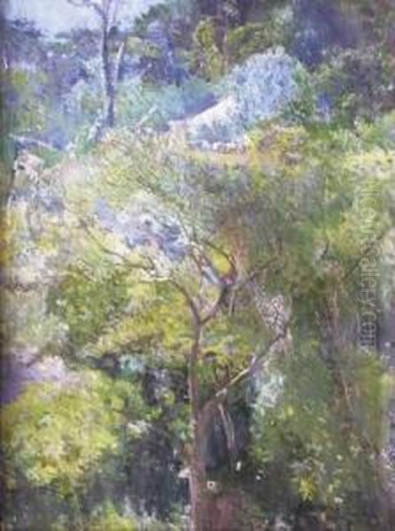 Paysage Boise - view 1