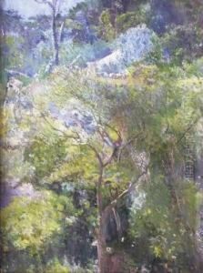 Paysage Boise by Eliseo Visconti
