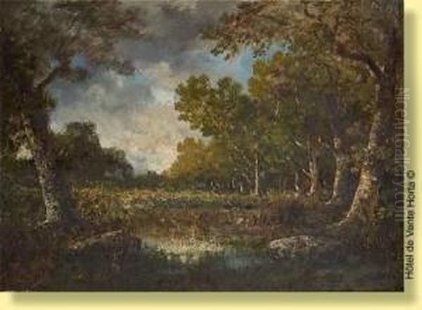 Rai De Lumiere Sur L'etang - view 1