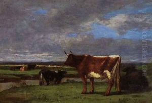 Cows near the Toques