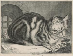 The Large Cat