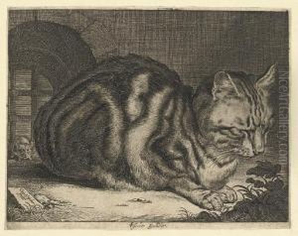 The Large Cat (duthuit 46; Holl. 42) - view 1