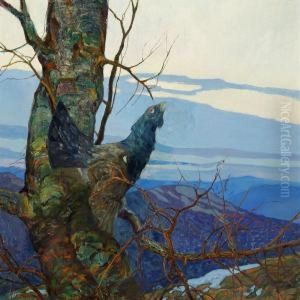 A Capercaillie In A Tree