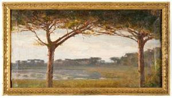 Pineta - view 1