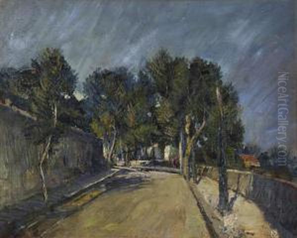 Viale Alberato - view 1