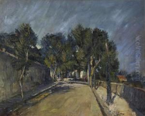 Viale Alberato by Eugenio Viti