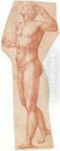 Standing Male Nude by Timoteo Viti