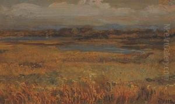 Paesaggio - view 1