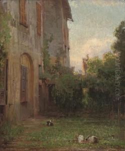 Rabbits In The Garden At Dawn