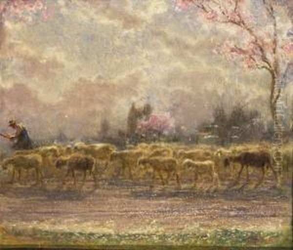 Gregge E Pastore A Primavera - view 1