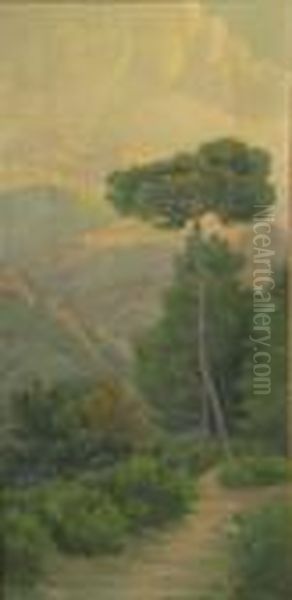 Camino - view 1