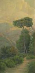 Camino by Tomas Vives Aymerich