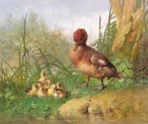 A Duck And Her Chicks By Ariver