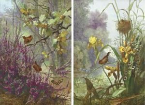 One Depicting Wrens On Oak Branches Above Heather And A Butterfly by Narcisse Vivien