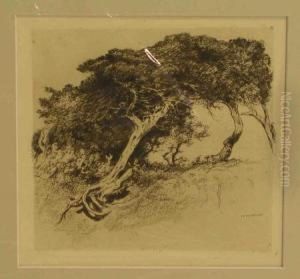 Baume Am Meer Bei Livorno by Fritz Voellmy