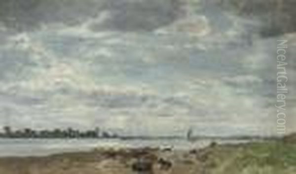 Cows Resting On The Shore Of The Riverijssel - view 1