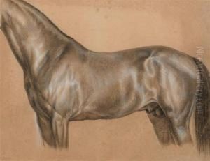 Study Of A Horse. by Ludwig Vogel