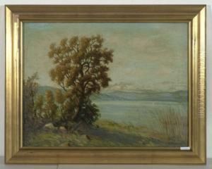 Zurichseeufer. 1928. Zurichseeufer. 1928.