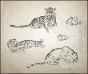 Grosskatzen by Otto Eduard Voigt