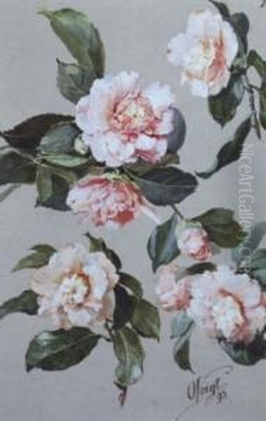Bluhende Stockrosen - view 1
