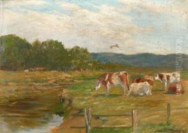 Vaches A L'herbage - view 1