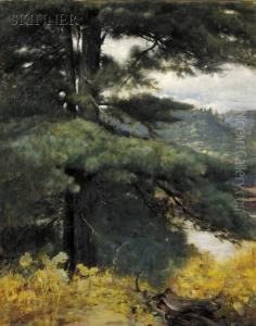 View At The Artist's Studio, Kezar Lake, Maine by Stephen A. Douglas Volk