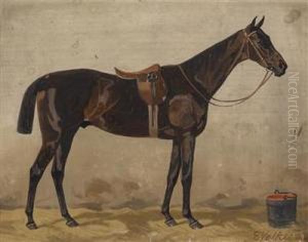 Bay In The Stable - view 1