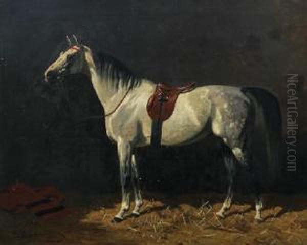 Horse In A Stable - view 1