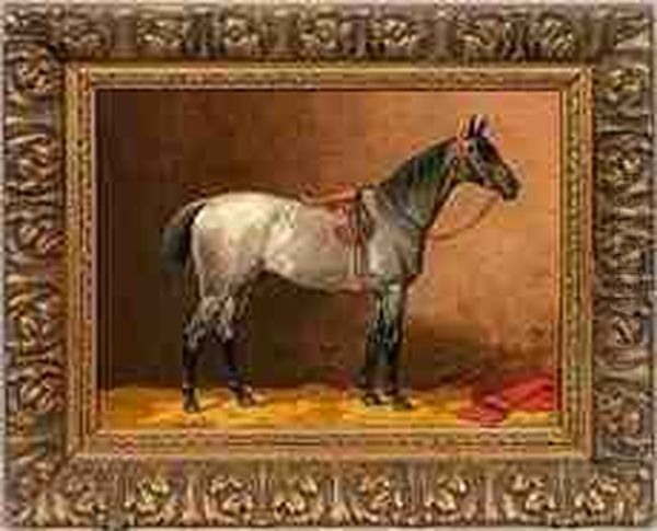 Rennhengst Imstall - view 1